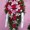 primula 10